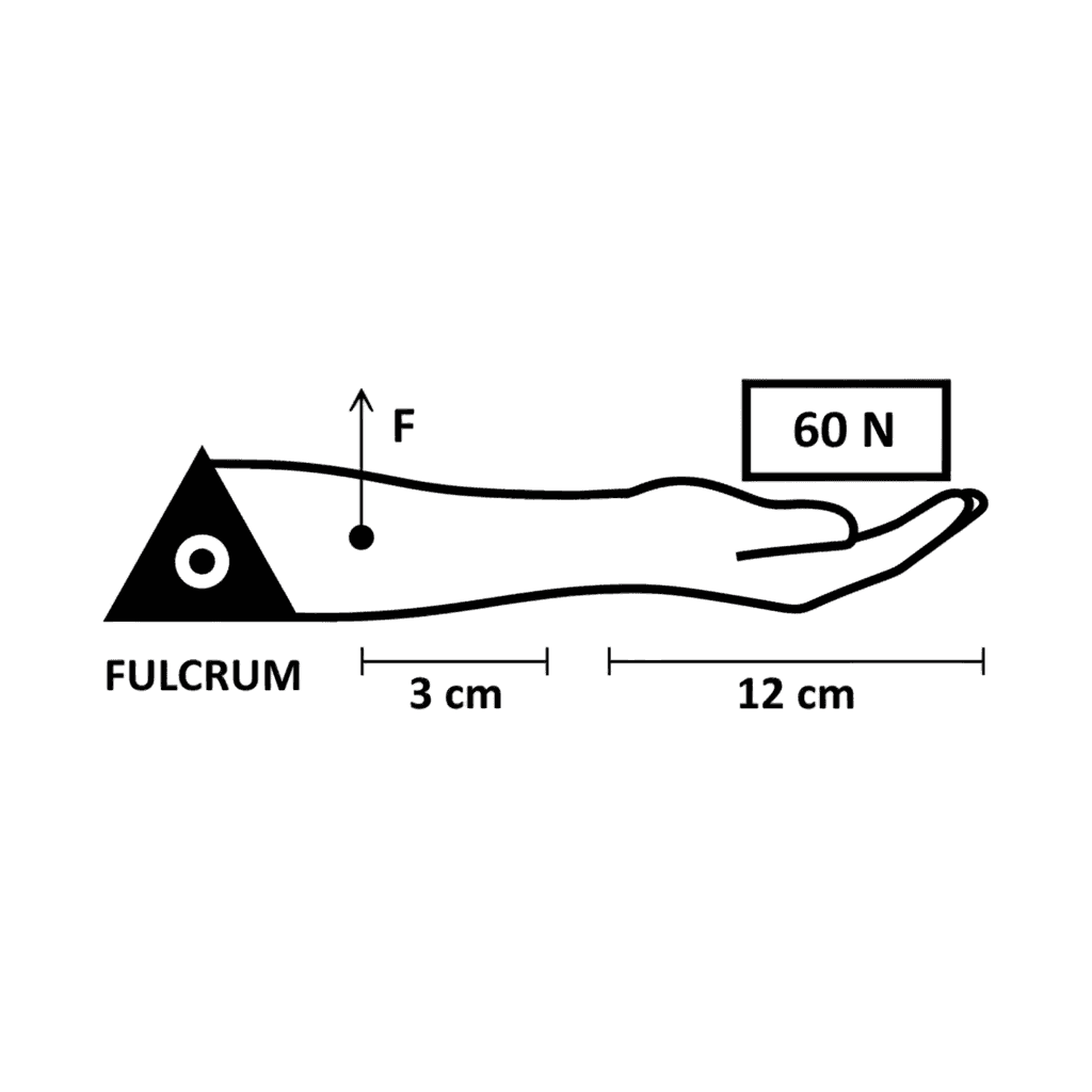 Wiesen WTMA pulley system practice question example showing a block-and-tackle arrangement for mechanical advantage calculation